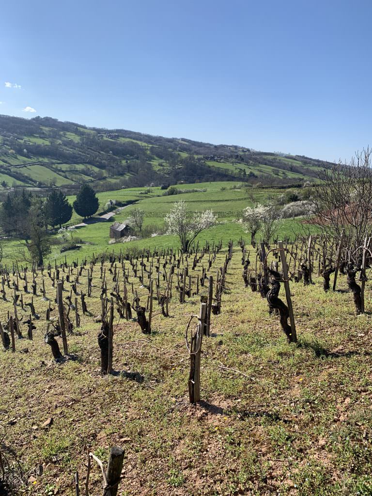 Vignoble AOC de Marcillac