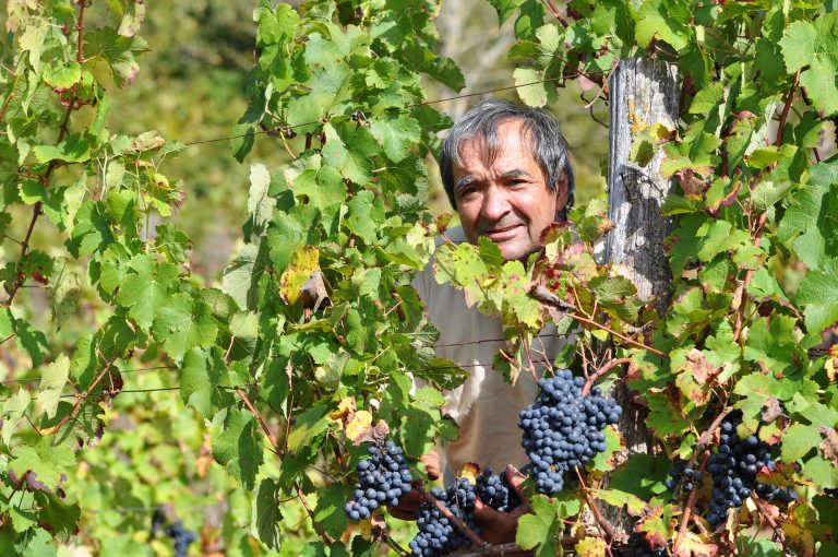 Vignoble de Marcillac